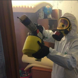 Уничтожение клопов в квартире. Высоковск